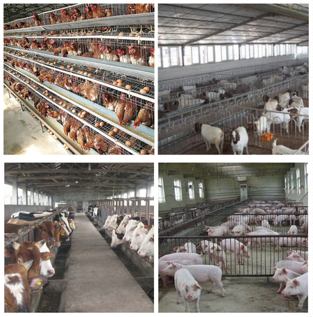 深圳市長(zhǎng)隆科技有限公司